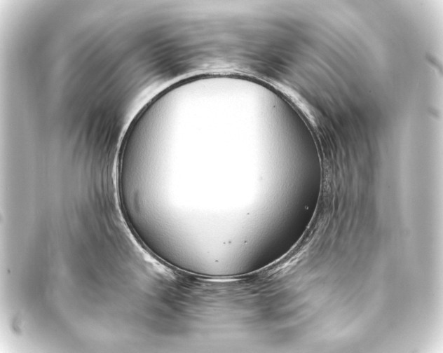 X0000093411343200711020947