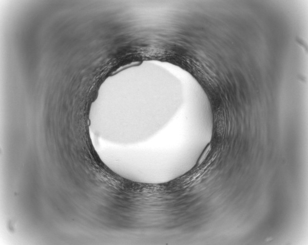 X0000093411345200711020946