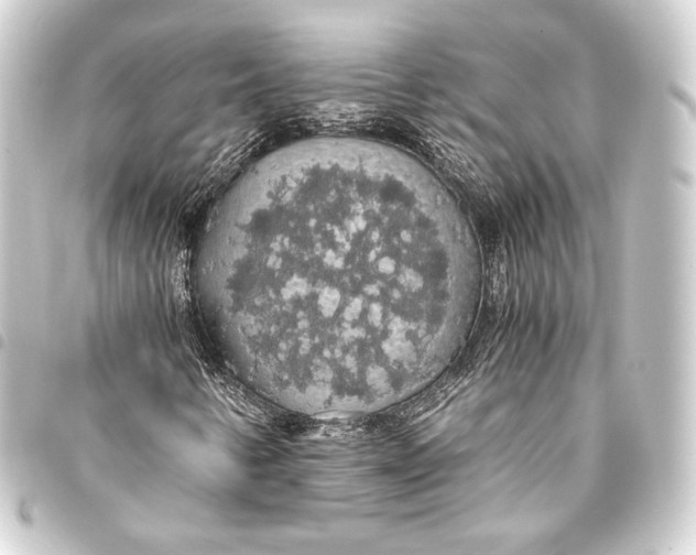 X0000093411346200711020946