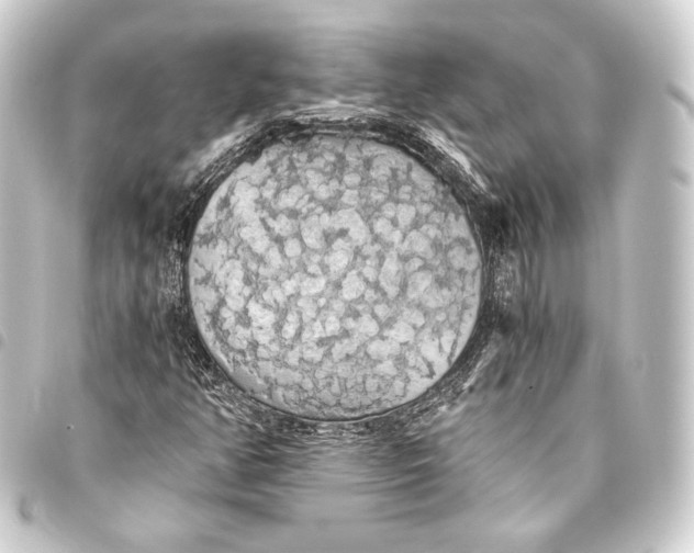 X0000093411350200711020946