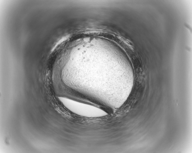 X0000093411351200711020946