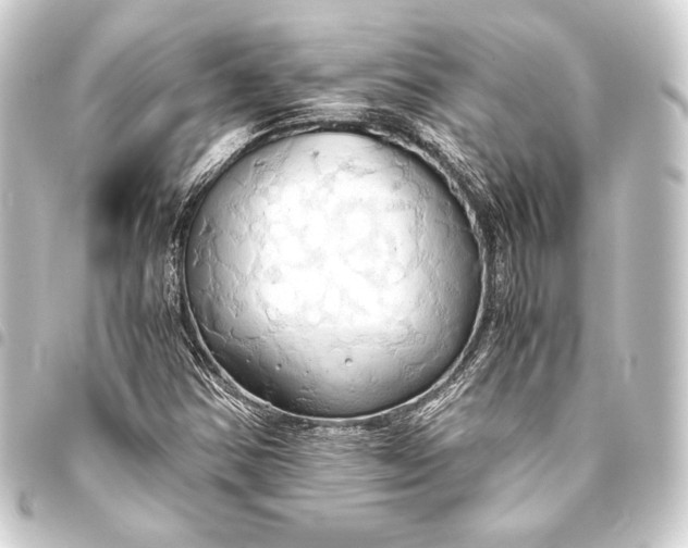 X0000093411354200711020946