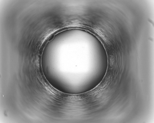 X0000093411356200711020946