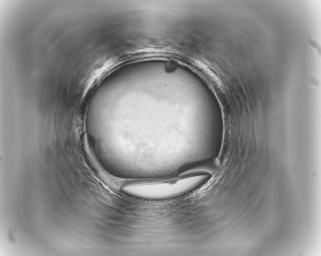 X0000093411357200711020946