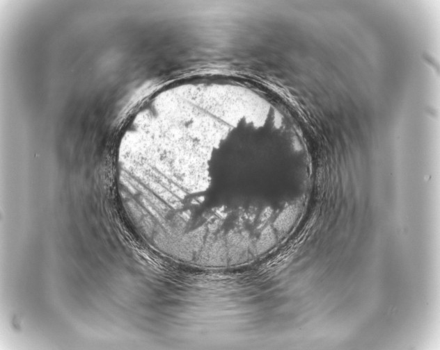 X0000093411359200711020946