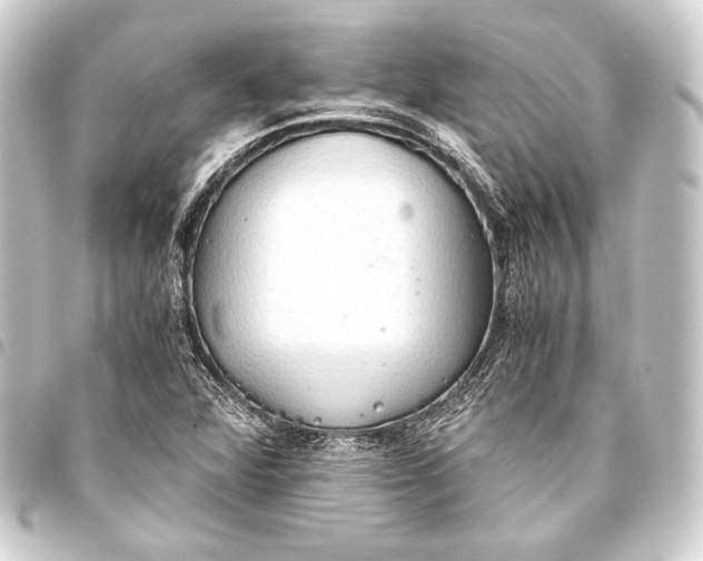 X0000093411360200711020946