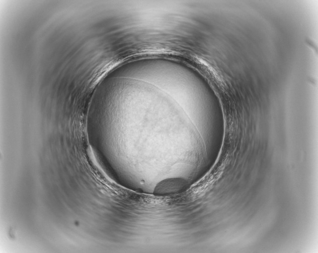 X0000093411361200711020946