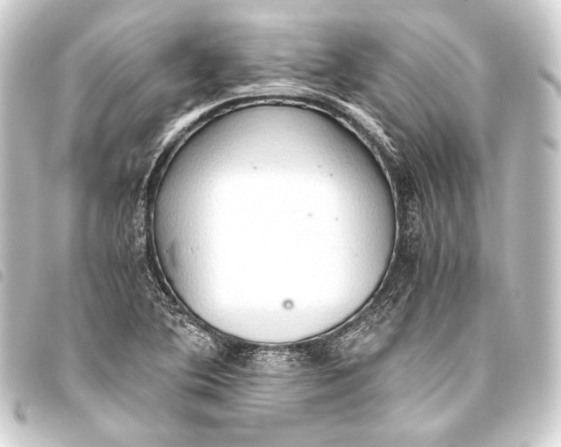 X0000093411364200711020946