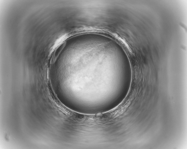 X0000093411365200711020946