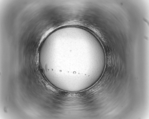 X0000093411366200711020946