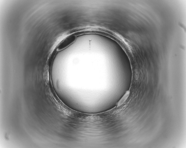 X0000093411368200711020946