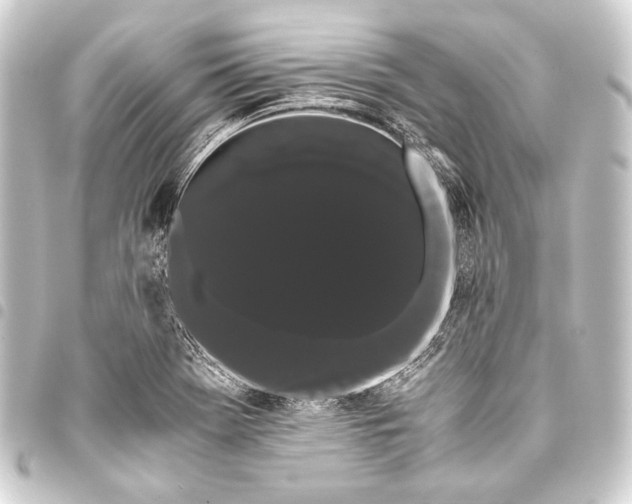 X0000093411369200711020946