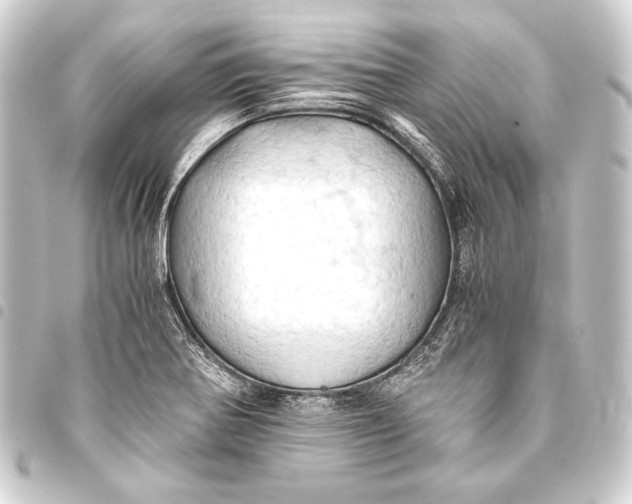 X0000093411370200711020946