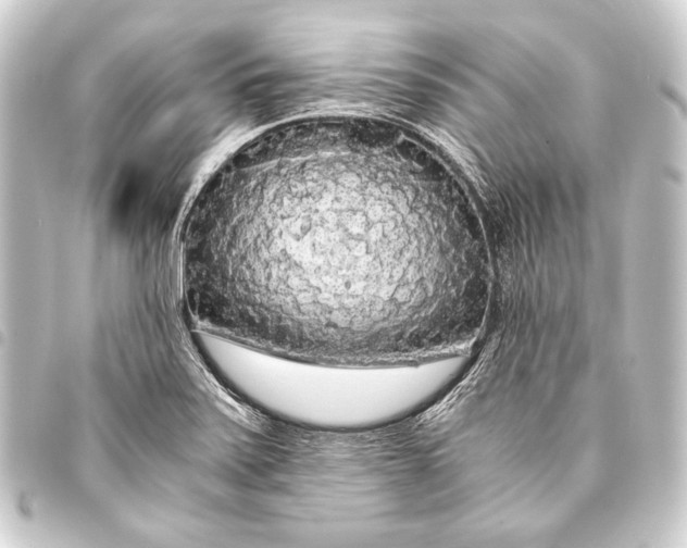 X0000093411371200711020946