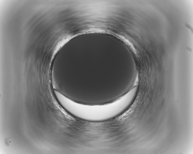 X0000093411373200711020946