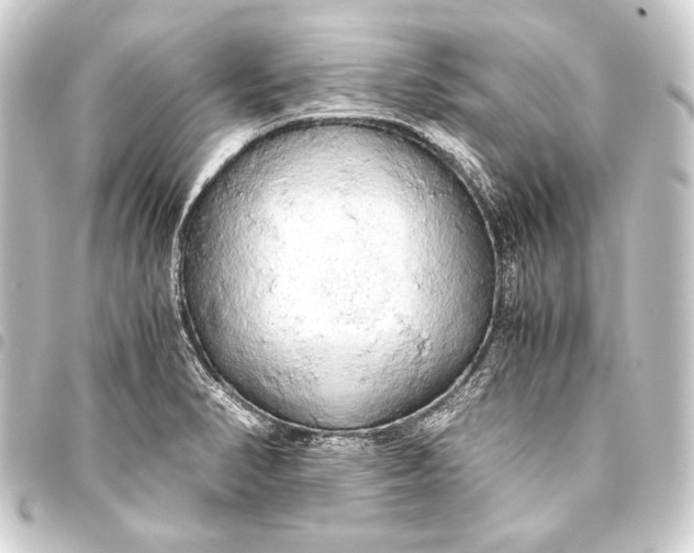 X0000093411374200711020946