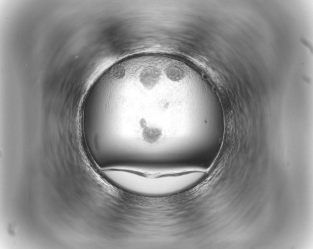 X0000093411375200711020946