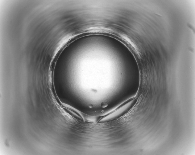 X0000093411376200711020946