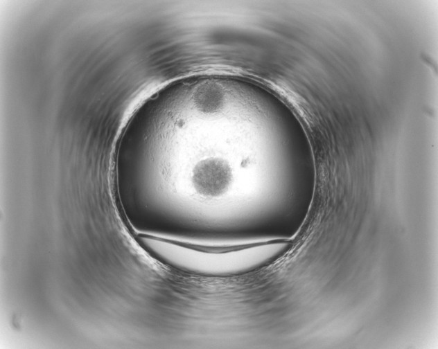 X0000093411379200711020946