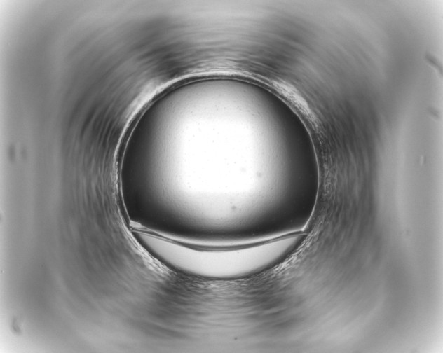 X0000093411380200711020946