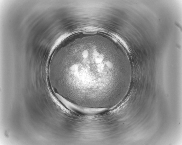 X0000093411381200711020946