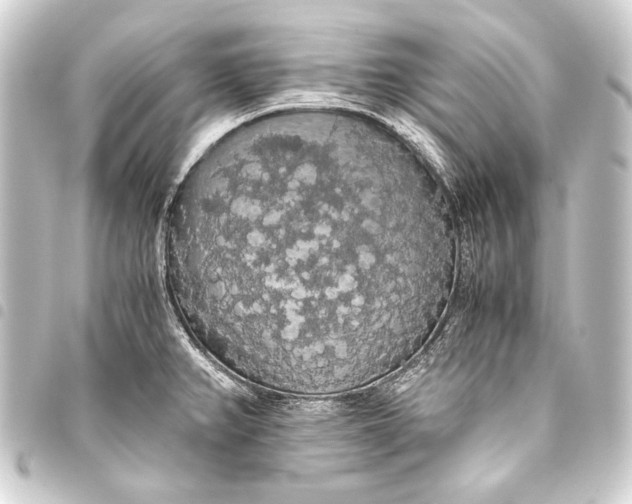 X0000093411382200711020946