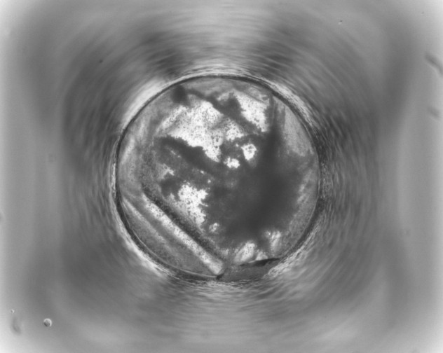 X0000093411383200711020946