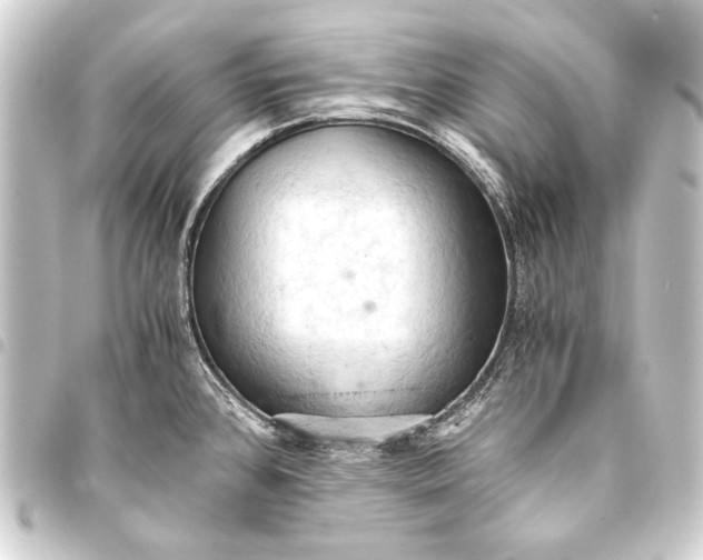 X0000093411384200711020946