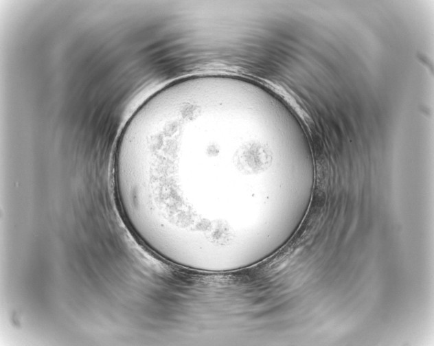 X0000093411387200711020946