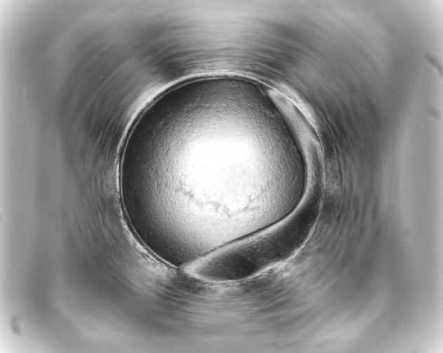 X0000093411388200711020946