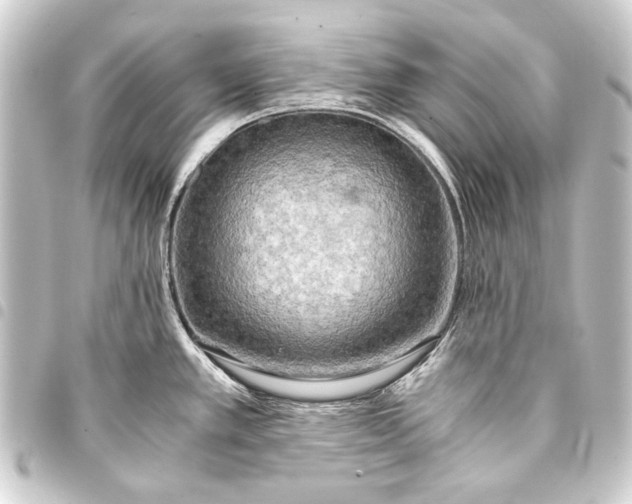 X0000093411389200711020946