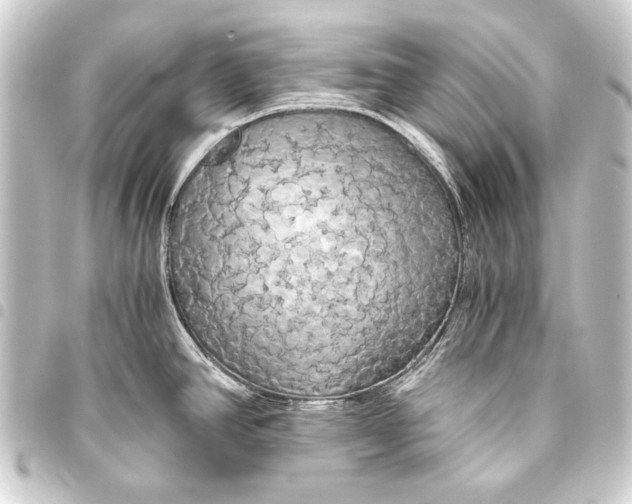 X0000093411390200711020946