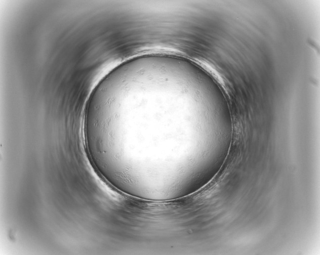 X0000093411391200711020946