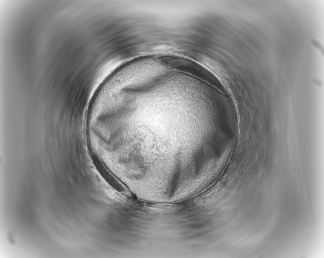 X0000093411392200711020946