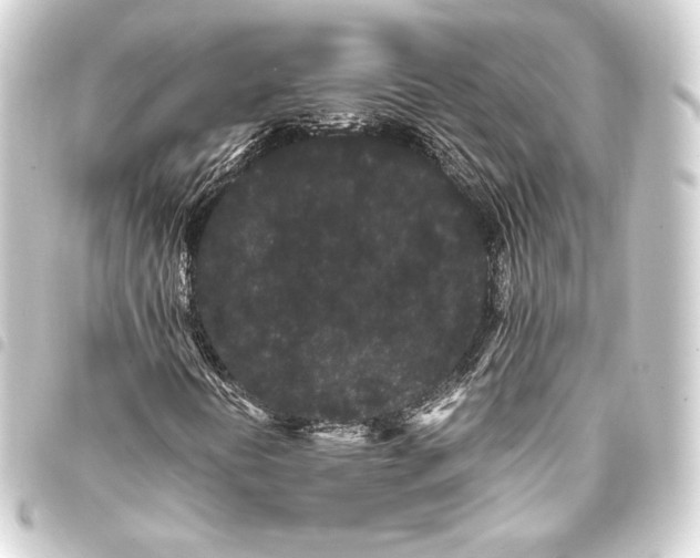 X0000093411394200711020945