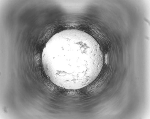 X0000093411395200711020945