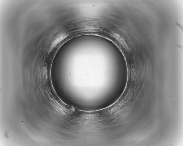 X0000093411402200711020945