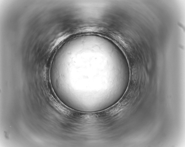 X0000093411404200711020945