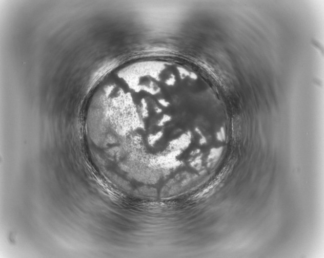 X0000093411405200711020945