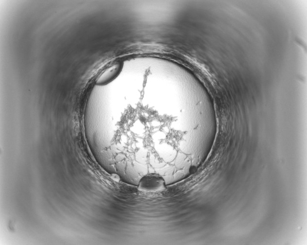 X0000093411407200711020945