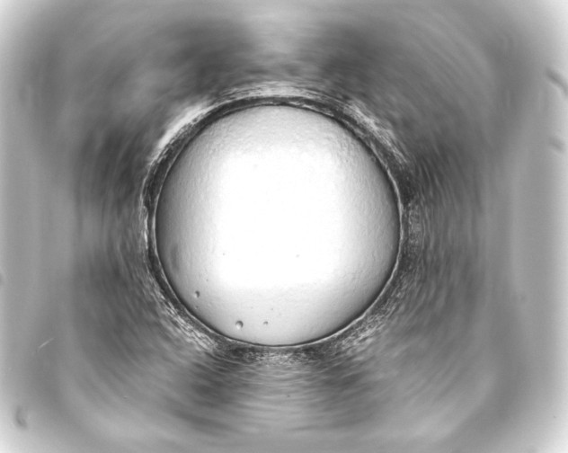 X0000093411408200711020945