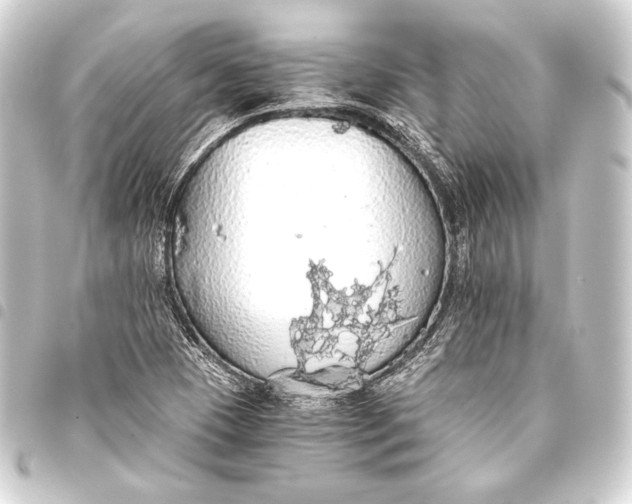 X0000093411409200711020945