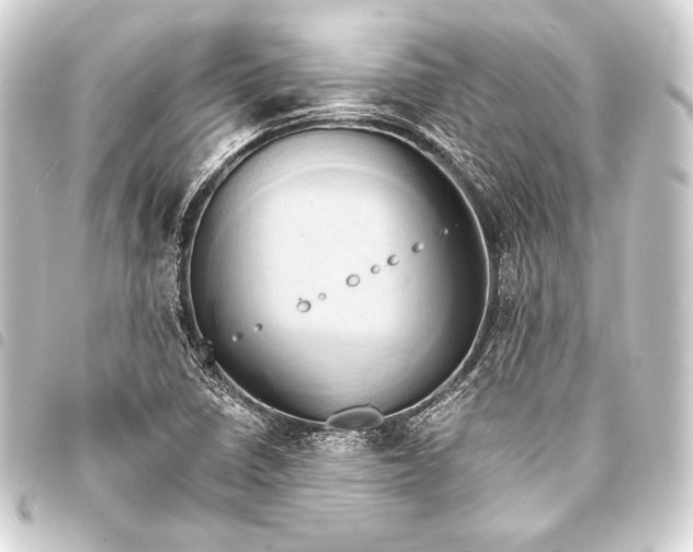 X0000093411410200711020945