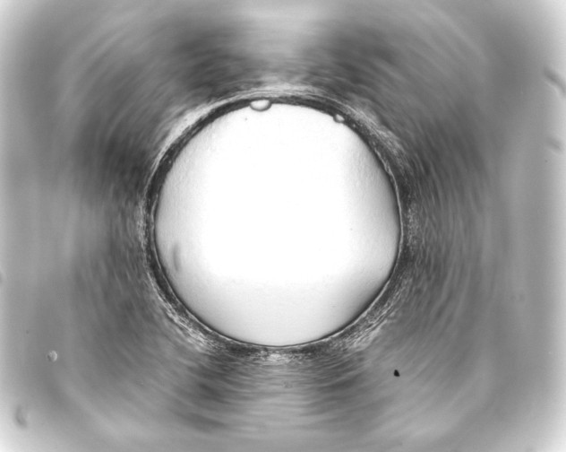 X0000093411412200711020945