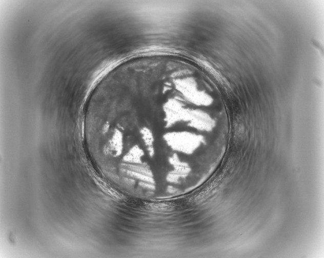 X0000093411413200711020945