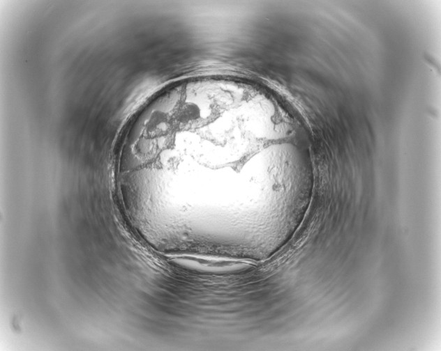 X0000093411415200711020945