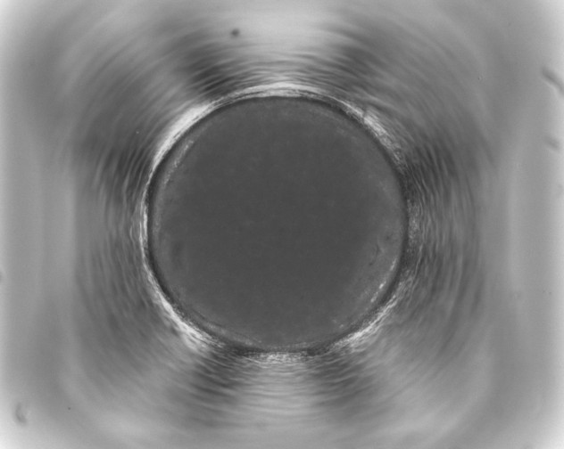 X0000093411418200711020945