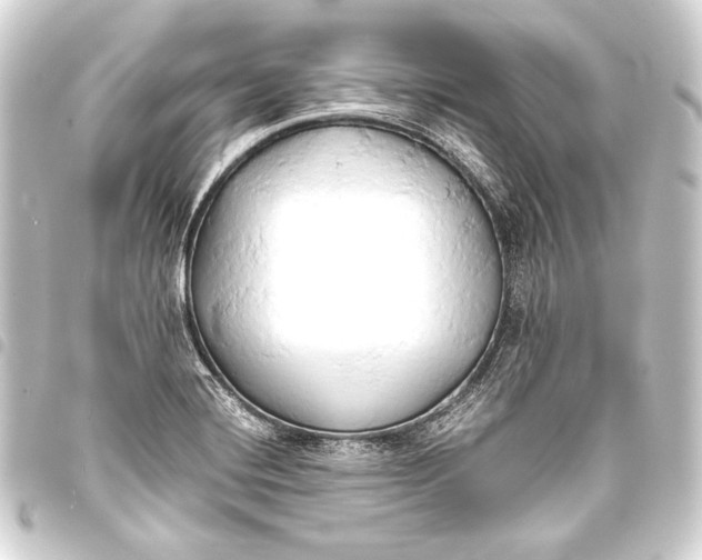 X0000093411420200711020945