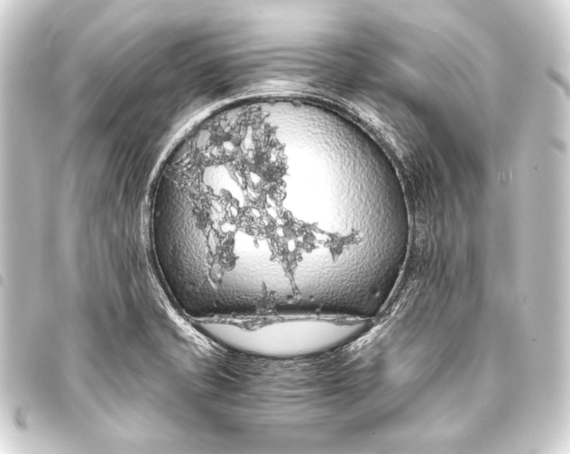 X0000093411421200711020945