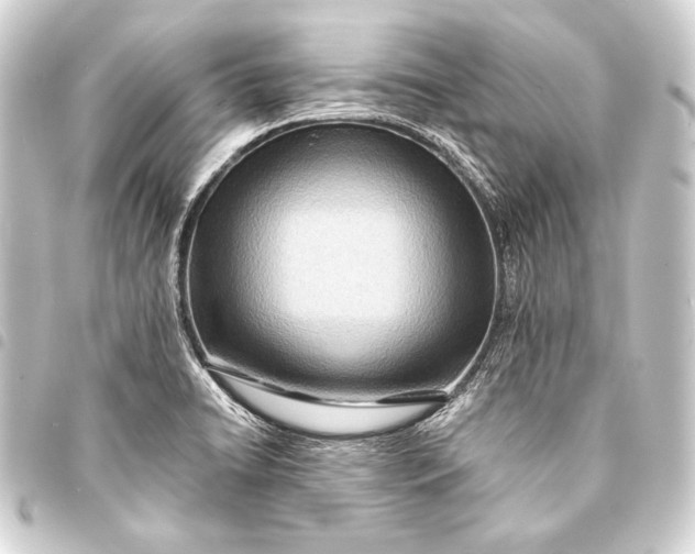 X0000093411422200711020945